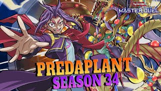 Predaplant Against META! - Yu-Gi-Oh! Master Duel Season 34 🌿