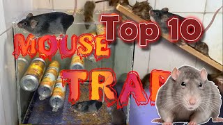 Top 10 Mouse Traps Made by Genius People