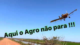 Lagoa da confusão TO aqui o Agro não para!! Conheça o sucesso dessa região#agronegocio#lavoura