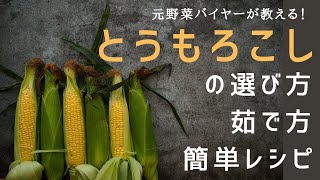 元野菜バイヤーが教える！とうもろこしの選び方から茹で方、簡単レシピまで