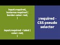 :required - CSS Pseudo Selector Explained !