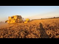 wheat harvest chile new holland tf78 tf46 tf76