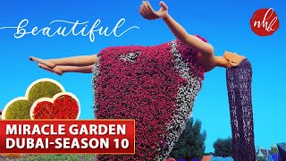 Miracle Garden Dubai 2022 | The World's Largest Natural Flower Garden | Season-10
