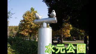 【散歩動画】水元公園