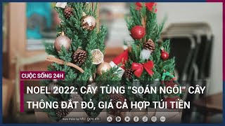 Giáng sinh 2022: Cây tùng \