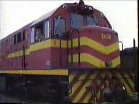 último Trem Do Sertão Youtube