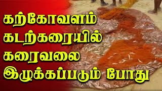 கற்கோவளம் கடற்கரையில் கரைவலை இழுக்கப்படும் போது | karai valai | katkovalam | THADAYAM TAMIL NEWS |