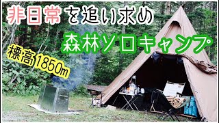 非日常を追い求めた森林ソロキャンプ！胡桃島キャンプ場♪ワンポールテントRG