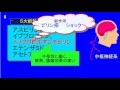 登録販売者試験　主な医薬品解熱鎮痛成分