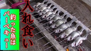 【釣り堀】ニジマス釣りに挑戦！入れ食い状態で初心者でもたくさん釣れた。