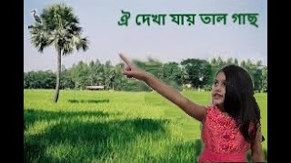 Oi Dekha Jay Tal Gach | ঐ দেখা যায় তাল গাছ (কানা বগীর ছা) | Bangla Chora