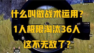 和平精英：什么叫做战术运用？1人极限淘汰36人，这不无敌了？