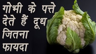 Cauliflower Leaves (गोभी के पत्ते) much healthier than Milk | दूध जितना फायदा | Boldsky