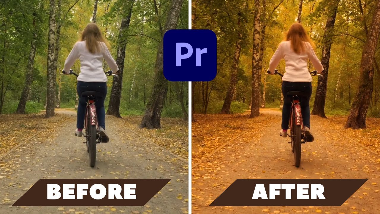 Premiere Pro Color Grading Tutorial Tsdg