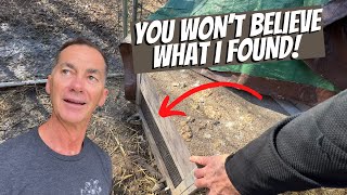 THIS CAN’T BE REAL???