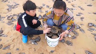 台风过后，海边遍地是大带子，小章和侄子一起去捡，又大又肥，真是太爽了【赶海小章】