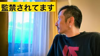 強制隔離１日ルーティンVlog／日本ならではの良い所も悪い所も