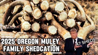47 Sheds! 2025 Eastern Oregon Muley Shed Hunt!