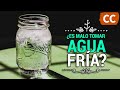 ¿Es Malo Tomar Agua Fría? | Ciencia de la Comida