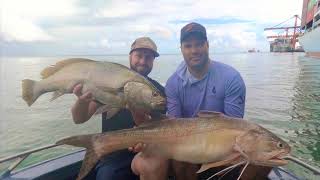 Massive jewfish and threadfin salmon on lures on the Brisbane river