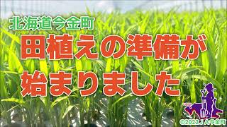 田植えの準備【代かき編】　2022北海道今金町