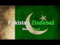 Pakistan Zinadaabad _ Slowed And Reverb |  Sahir Ali Bagga Song | Slowed & Reverb Song Lover