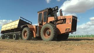 ACO 270 tractor pulling trailer on South African peanut field with great V8 sound