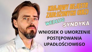 Jak wyjść z niechcianej upadłości konsumenckiej | Krajowy Rejestr Zadłużonych (KRZ) według syndyka