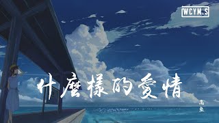 高鱼 - 什么样的爱情【動態歌詞/Lyrics Video】