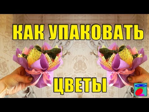 Оформляем фиалку на подарок! Как упаковать цветы. Мастер класс по флористике. Оформляем фиалку на подарок! Как упаковать цветы. Мастер класс по флористике.