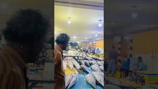 Peliyagoda fish market 🐟 #tuna #fishmarket