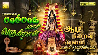 ஆடி இறுதி வெள்ளி திருவிழா பூசையில் | பாம்பாக மாரி வருகிறாள் | Pambaga Mari Varugiral | Amman songs