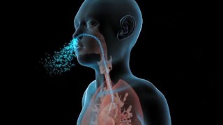 How to Stop the Flu From Spreading in Your Home | WebMD