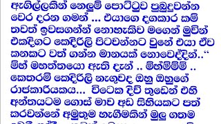 ආඩම්බර ඔයහිත ලග අවසානය ...