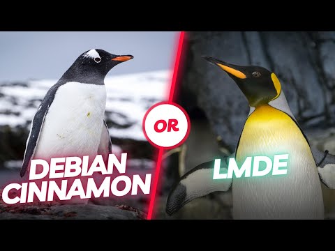 LMDE or Debian with Cinnamon: which is the best choice? You have to know this in advance!
