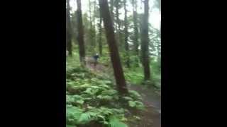 belvoir(beaver) mtb jump