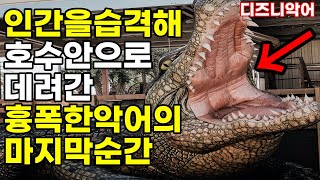 인간을 습격해 물속으로 물고간 흉폭한 악어의 마지막순간