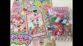 たのしい幼稚園2021年1月号ふろく　ヒーリングっど❤プリキュア キャンディペン\u0026スイーツポーチ