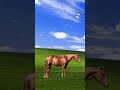 stop horse chellenge 🐎 horse chellengevideo viralshort 100millionviewschallenge subscribe