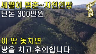 세월이 멈춘~자연인땅 1,370평 단돈300만원~이 땅 놓치면 땅을 치고 후회합니다.[땅지통]