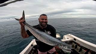 Hervey bay, Bundaberg fishing Spanish mackerel with Mudzilla , Trolling gar for Christmas lunch