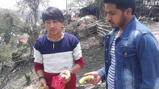 pashupati temple monkey eating banana