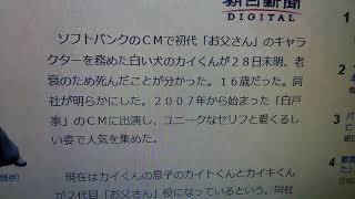 白戸家の初代「お父さん」、カイくん天国へ CMで人気