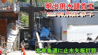 【明治用水頭首工】左岸魚道に止水矢板打設【8月5日レポート】