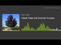 Shade Trees and Summer Success