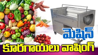 కూరగాయలు వాషింగ్ మెషిన్ Vegitable Cleaning machine #vijayawada #kitchen #vegitables