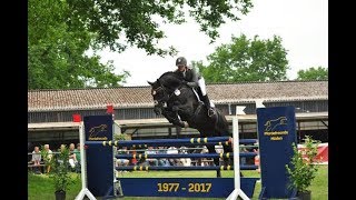 Im Stall mit: Viscount