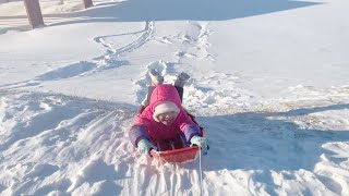Snow Sledding 🛷After Winter Storm