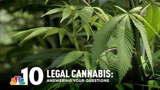 Answering Your Questions About Legal Cannabis in PA, NJ and Delaware
