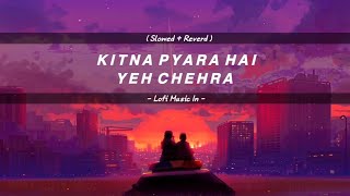 Kitna Pyara Hai Ye Chehra | (Slowed + Reverd) | Lofi Music In